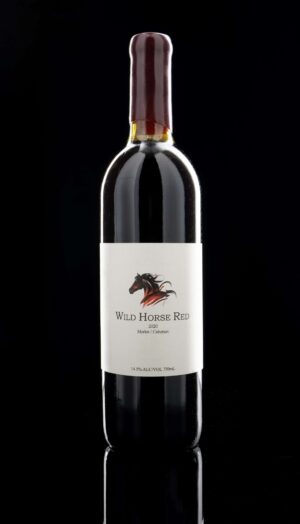 2020 Cabernet/Tannat (French Oak Barrel-smooth finish)
